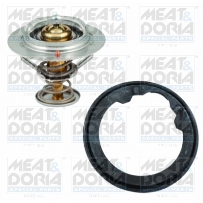 Thermostat, coolant
